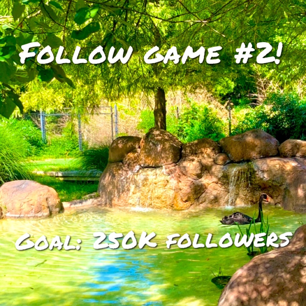 Reached 200k followers!!! 🥳🤩🙌🏼💁🏼‍♀️